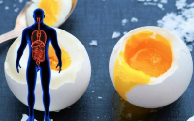 Die beste Diät: Wie man in 2 Wochen gesund und ohne zu hungern 11 Kilo abnimmt – mit nur Eiern. Vorher-nachher-Ergebnisse.
