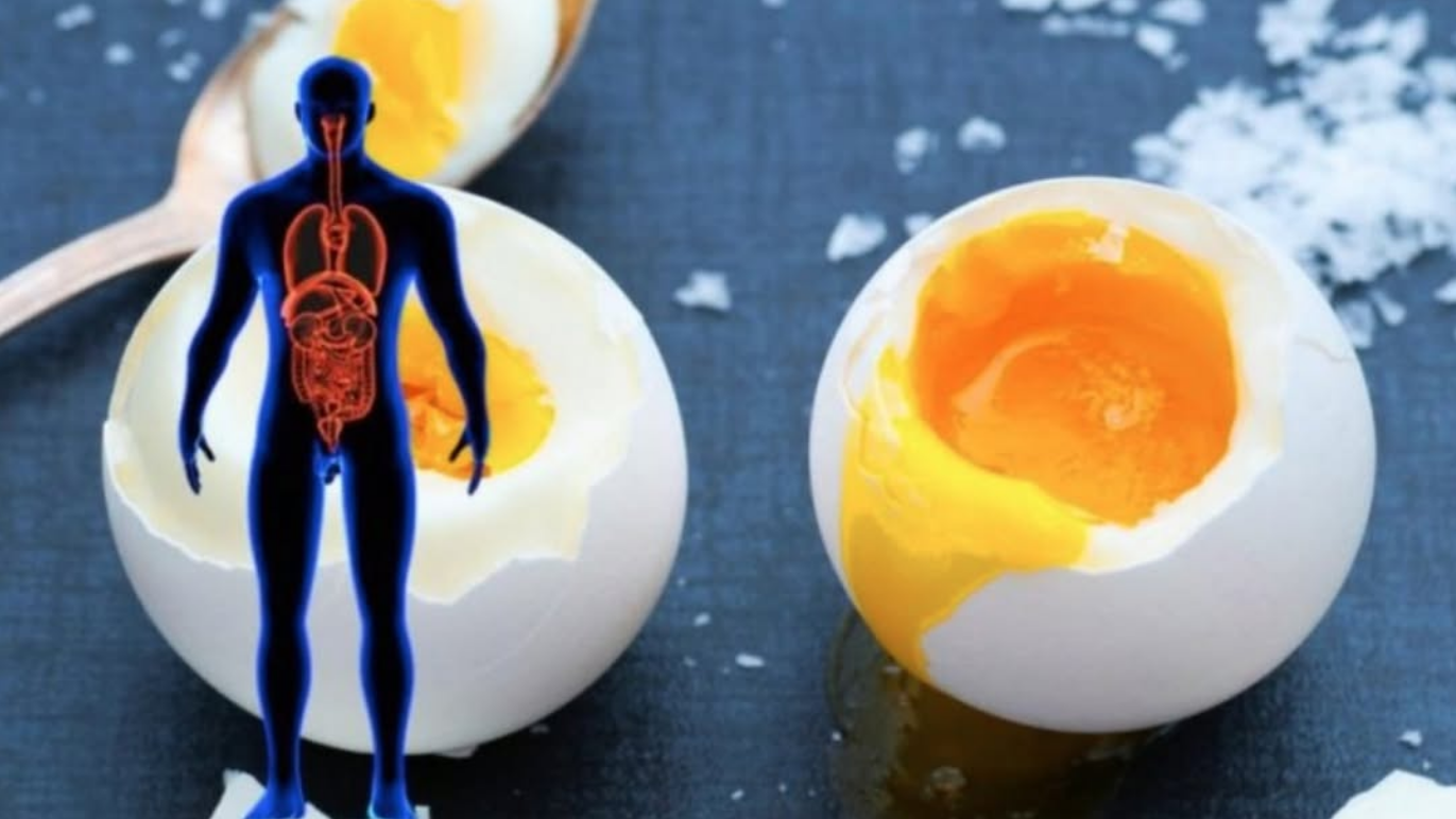 Die beste Diät: Wie man in 2 Wochen gesund und ohne zu hungern 11 Kilo abnimmt – mit nur Eiern. Vorher-nachher-Ergebnisse.