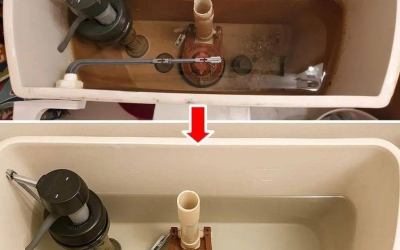 Wie reinigt man den Toilettenspülkasten, damit er wieder wie neu aussieht?