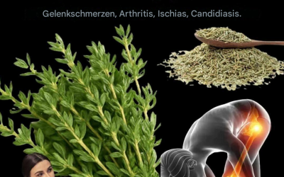 Thymian: Beseitigt Candida, Herpes, Grippeviren, Krebs und vieles mehr.