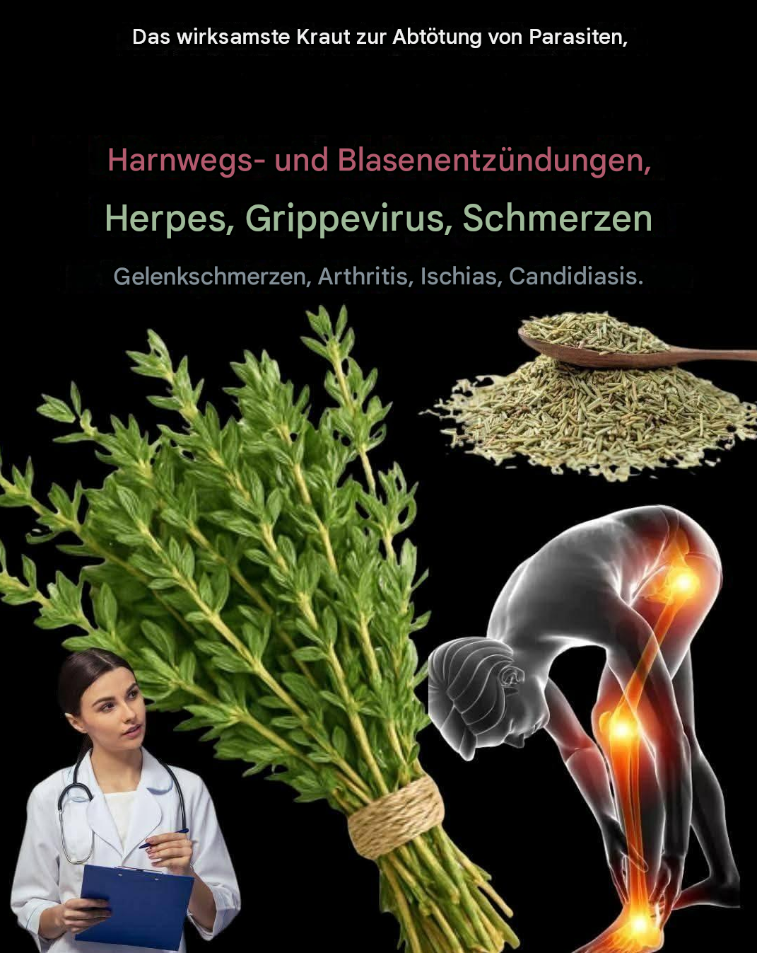 Thymian: Beseitigt Candida, Herpes, Grippeviren, Krebs und vieles mehr.