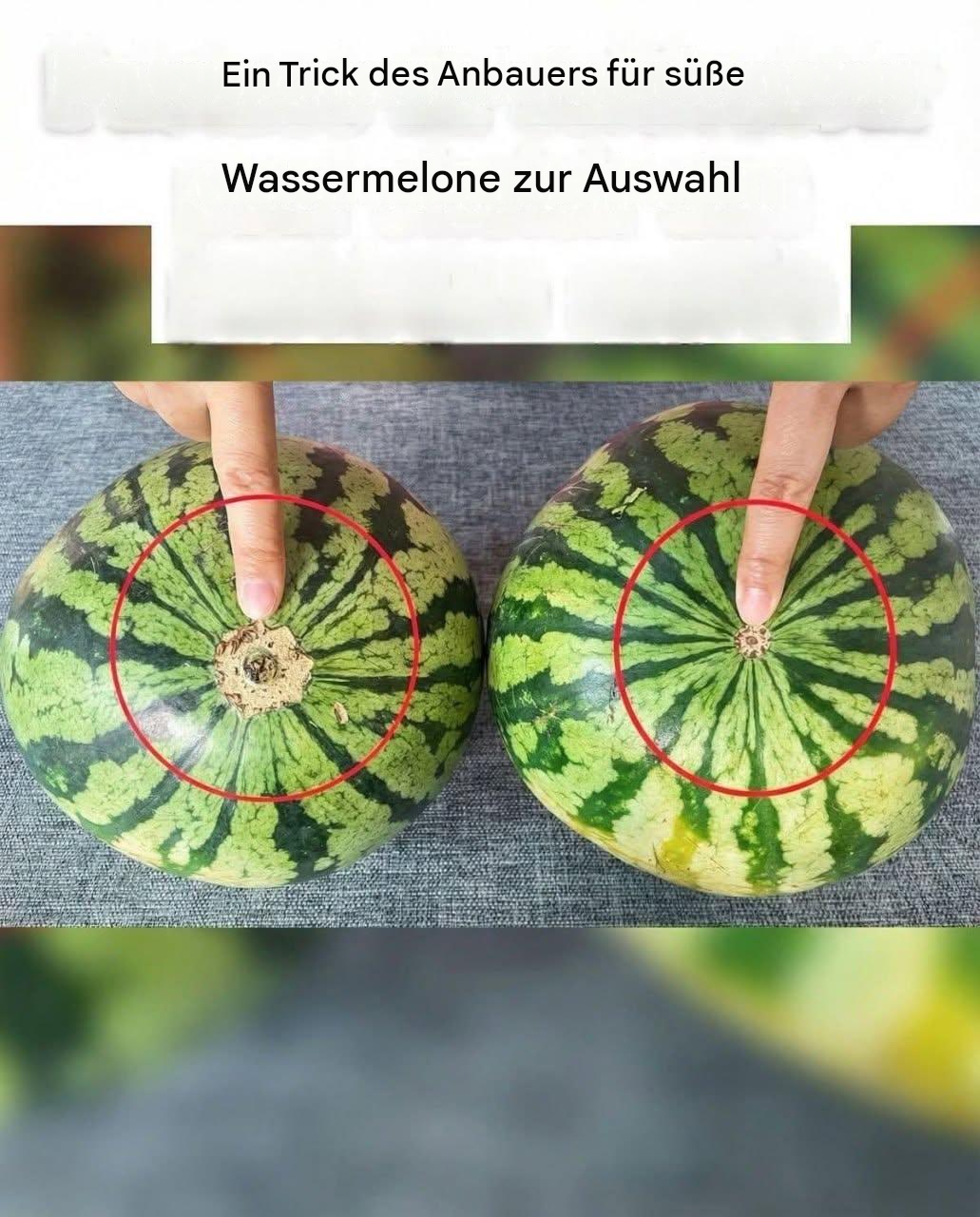 Schluss mit langweiligen Wassermelonen! Hier ist ein praktischer visueller Leitfaden, um die süßesten Wassermelonen auf dem Markt zu finden.