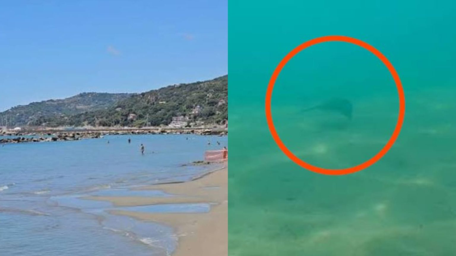“Auf See gesichtet.” Panik an italienischen Stränden: Schwimmer verletzt.