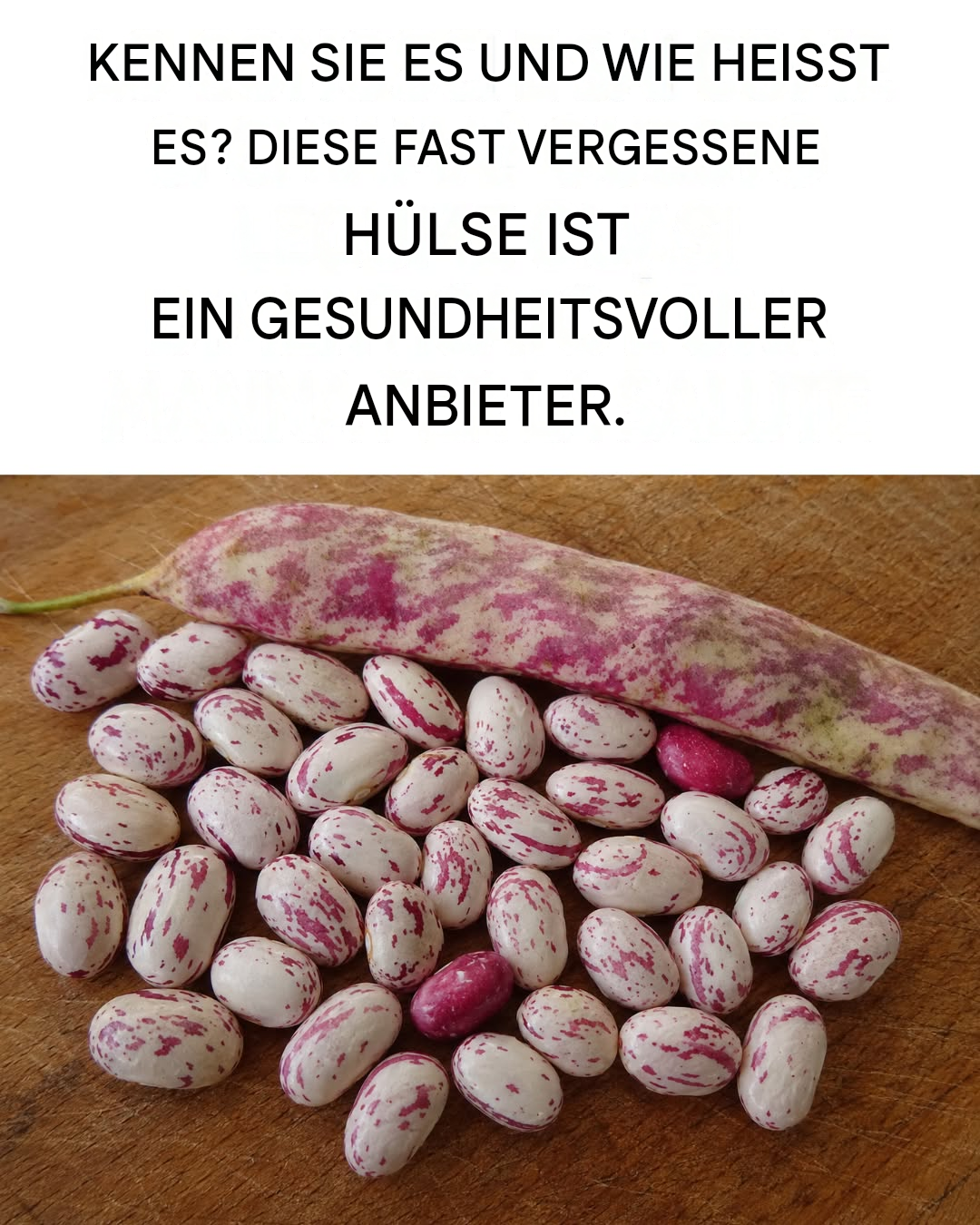 Klein, schmackhaft und kraftvoll: alle Vorteile der Borlotti-Bohnen.