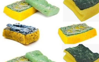 Alte Schwämme: Umweltfreundliche Gartentipps, die Ihre Bewässerung revolutionieren werden