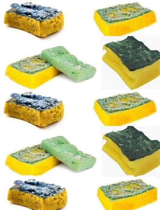 Alte Schwämme: Umweltfreundliche Gartentipps, die Ihre Bewässerung revolutionieren werden