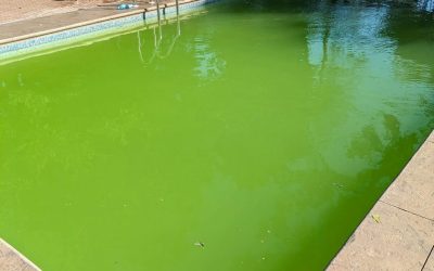400 Euro für einen Tag am Pool – die Touristen waren schockiert. Der Besitzer: „Bei uns zahlt man…“
