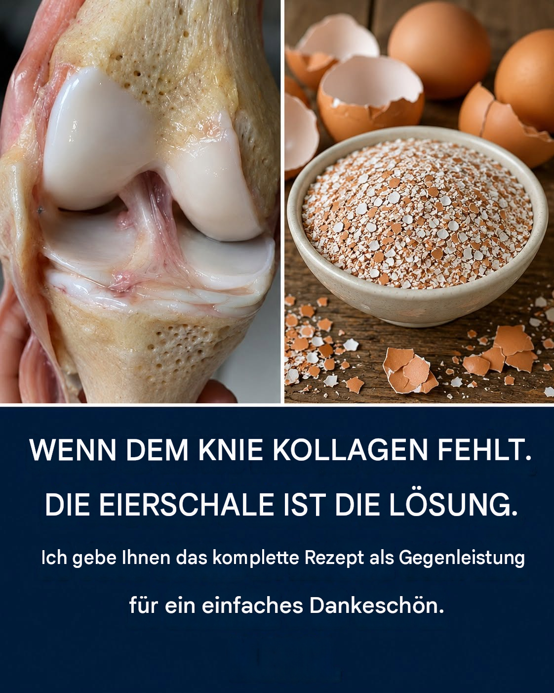 Sind Eierschalen wirklich gut für die Gelenke? Was sagt die Wissenschaft?