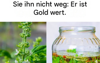 Viele nutzen sie nicht so, aber sie sind wirklich nützlich. Die Details dazu findet ihr im ersten Kommentar 👇