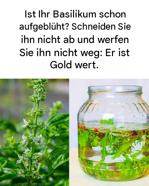 Viele nutzen sie nicht so, aber sie sind wirklich nützlich. Die Details dazu findet ihr im ersten Kommentar 👇